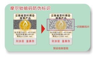 激光91桃色在线观看标签